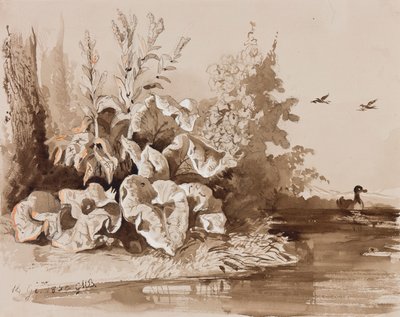 Study of plants by a stream with ducks, with additions by an instructor, 1856 by Prince Gaetano Maria Federico di Borbone